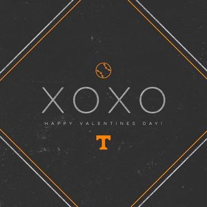 Image post by @vol_baseball on Instagram