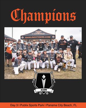 Image post by @rawlingstigers on Instagram