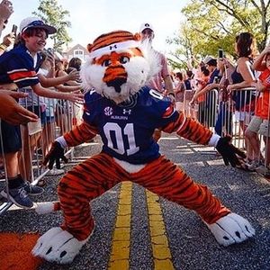Image post by @auburnalumni on Instagram