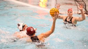 Image post by @IndianaWPolo on Twitter