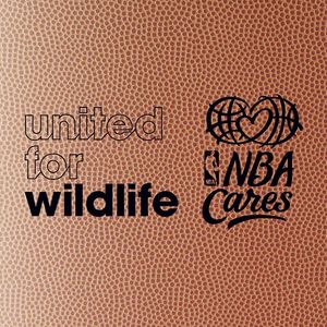 Image post by @nbacares on Instagram