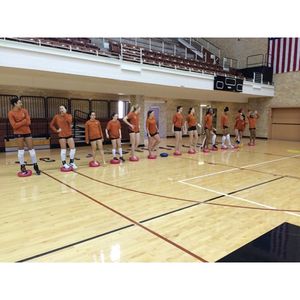 Image post by @texasvolleyball on Instagram