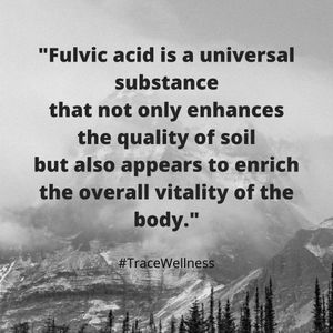 Image post by @mytracewellness on Instagram
