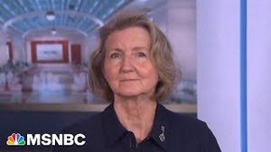 Video post by @msnbc on YouTube