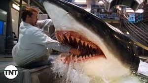 Video post by @tnt on YouTube