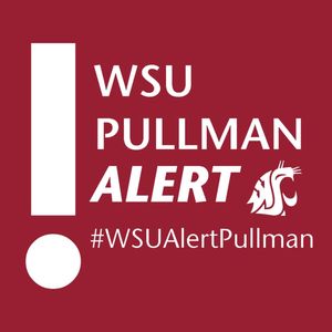 Image post by @wsupullman on Instagram
