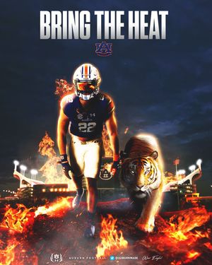 Image post by @giddensdesigns on Instagram