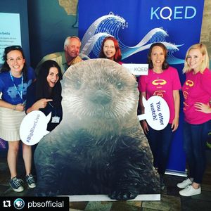 Image post by @kqed on Instagram