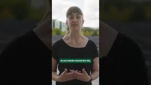 Video post by @brighttriptravel on YouTube
