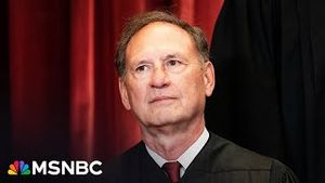 Video post by @msnbc on YouTube