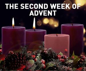 Image post by @servitehs on Instagram