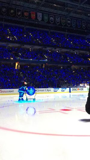 Image post by @ThunderBugTBL on Twitter