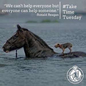 Image post by @ecnlgirls on Instagram