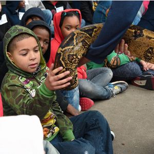 Image post by @pittsburghpg on Instagram
