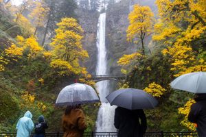 Image post by @theoregonian on Instagram