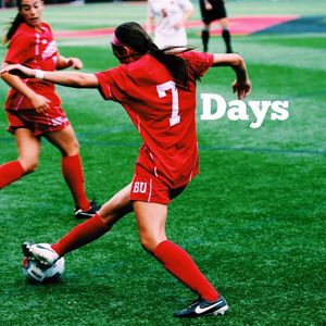 Image post by @terrierwsoc on Instagram