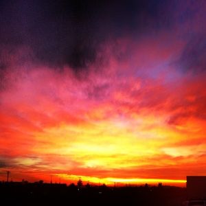 Image post by @ryanlitteral on Instagram