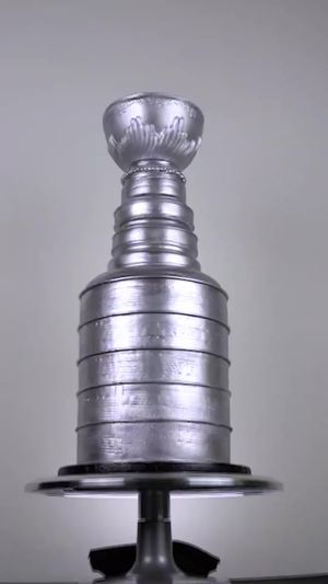 Video post by @nhl on TikTok