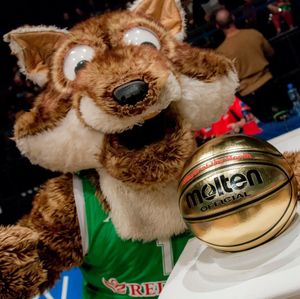Image post by @plymouthraiders on Instagram