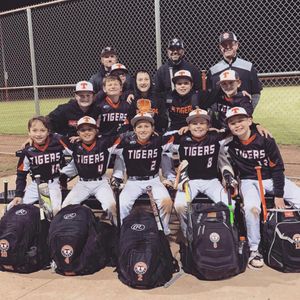 Image post by @rawlingstigers on Instagram