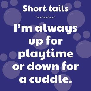 Image post by @ECUHealthChildrensHospital on Facebook