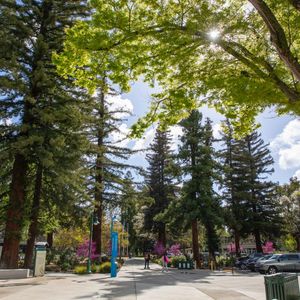 Image post by @sacstate on Instagram