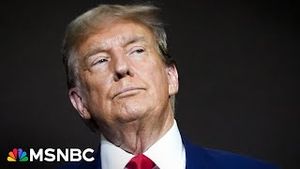 Video post by @msnbc on YouTube