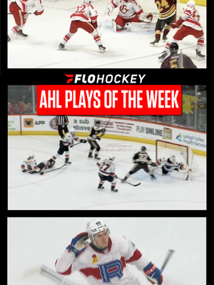Video post by @flohockeytv on TikTok