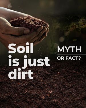 Image post by @unitednations on Instagram