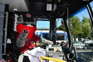 Image post by @rivercats on Instagram