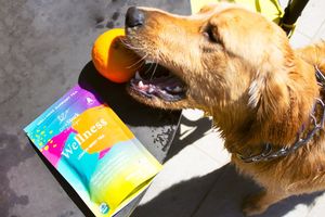 Image post by @pinkstork on Instagram