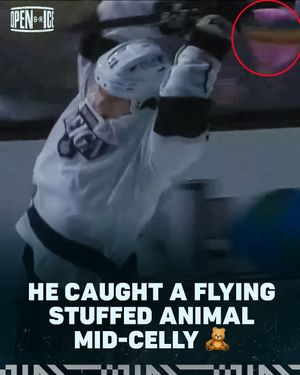 Image post by @br_openice on Instagram