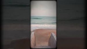 Video post by @loganjeffries519 on YouTube