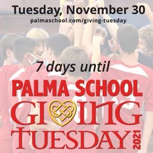Image post by @palma_school on Instagram