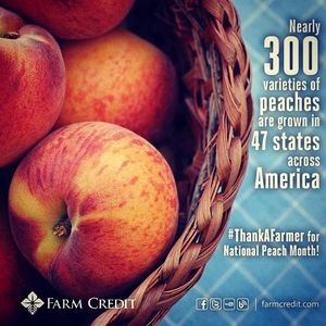 Image post by @farmcredit on Instagram