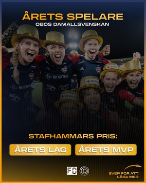 Image post by @fotbolldirekt on Instagram