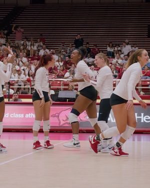 Image post by @razorbackvb on Instagram