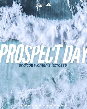 Image post by @endicottwlax on Instagram