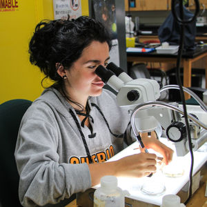 Image post by @uw_superior on Instagram