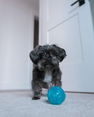 Image post by @tamanephotography on Instagram