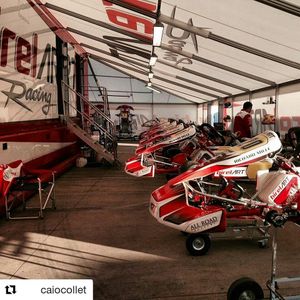 Image post by @allroadmanagement on Instagram