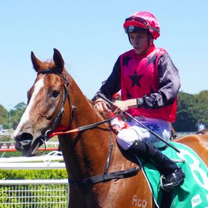 Image post by @australianturfclub on Instagram