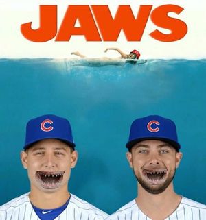 Image post by @chicagocubsnation on Instagram