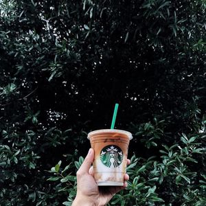 Image post by @starbucks on Instagram