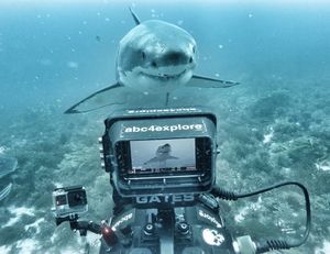 Image post by @reddigitalcinema on Instagram