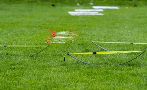 Image post by @whistlehockey on Instagram