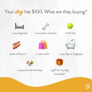 Image post by @dogtopiagr on Instagram