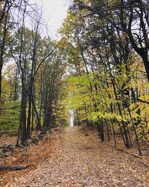 Image post by @themainemag on Instagram
