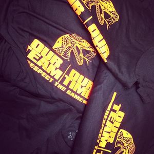 Image post by @famuathletics on Instagram