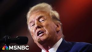 Video post by @msnbc on YouTube